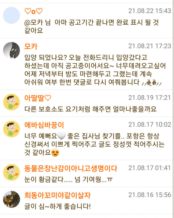 훌쩍훌쩍 외모지상주의