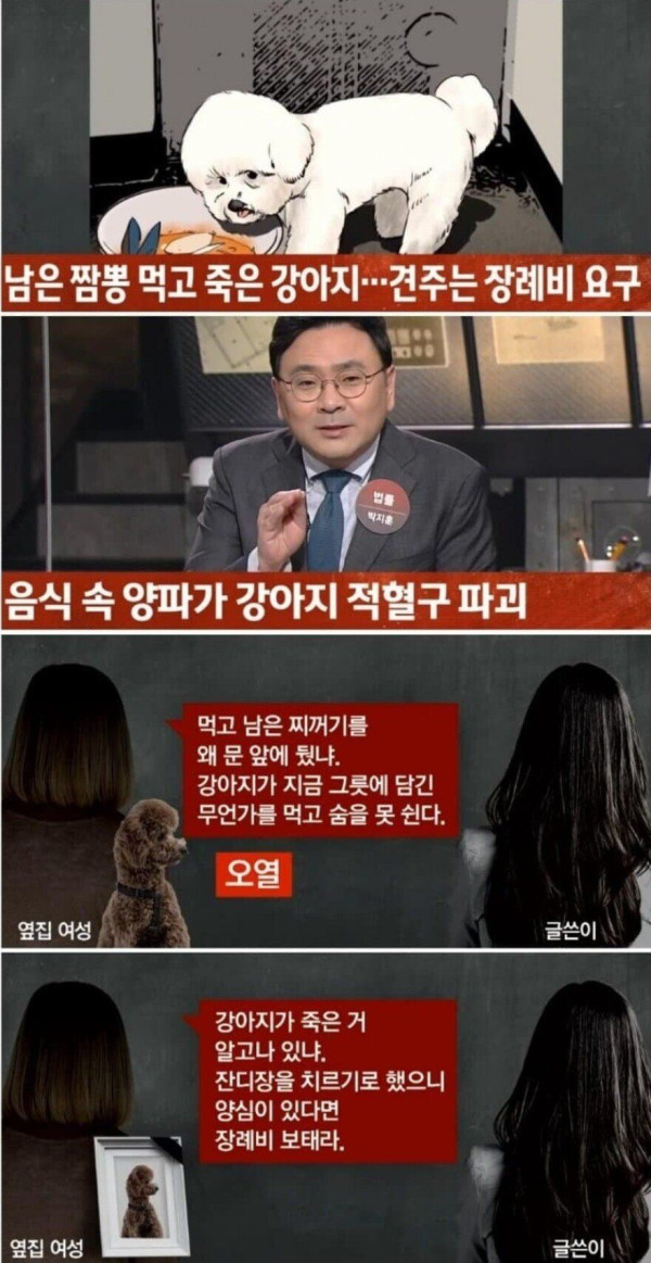 짬뽕 먹고 죽은 강아지 견주