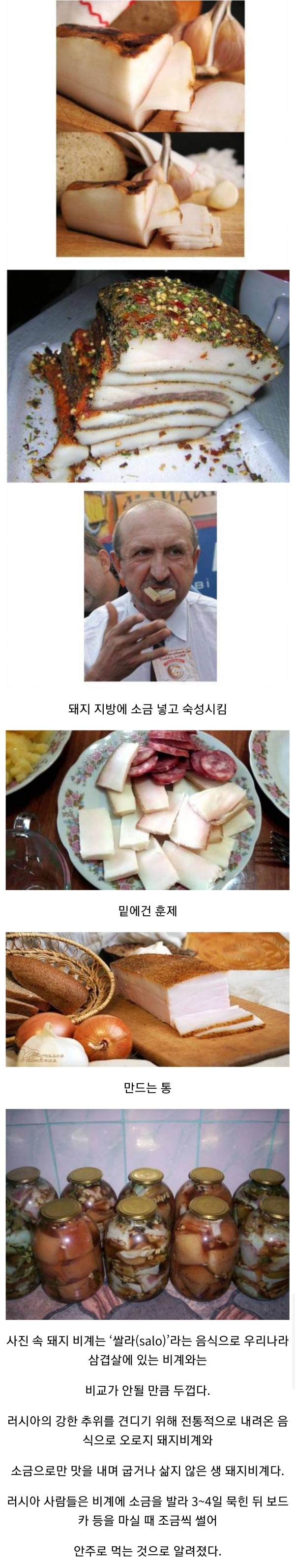 러시아인들의 대표 음식