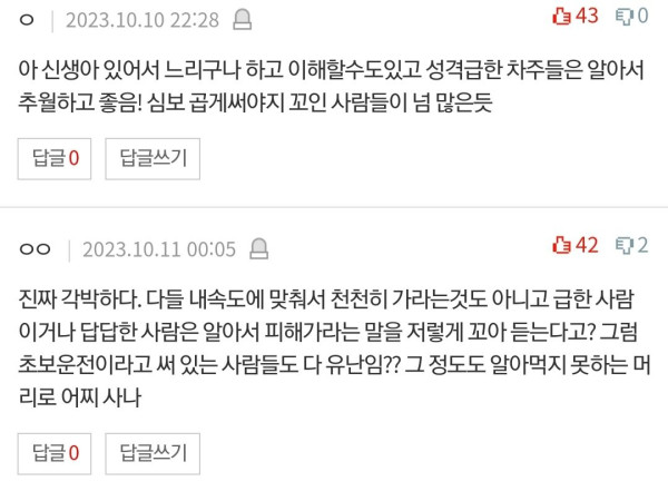 출산 후 유난떠는 운전자