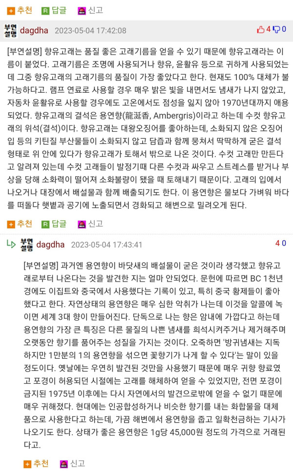 해변가 산책하다가 발견한 악취나는 로또